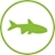 Movement in the tank: free floating near rocks and stones
